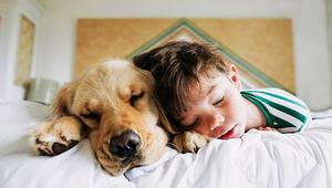 Children sleeping with their pets? They might be getting the best sleep among us all