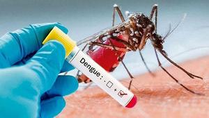 Highest number of deaths from dengue, 3015 hospitalized