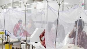Eight people die from dengue, 2889 in hospitals