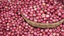 India will export 50 thousand tons of onions to Bangladesh