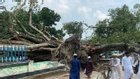লালমনিরহাটে ঝড়ে ভেঙে পড়লো ২০০ বছরের ঐতিহ্যবাহী বটগাছ