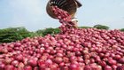 India has allowed onion export to 6 countries including Bangladesh