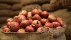 India gives permission for onion export to Bangladesh