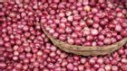 India will export 50 thousand tons of onions to Bangladesh