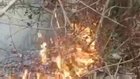 The fire brigade could not reach near the fire in the Sundarbans