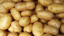 Govt. revises potato price