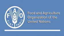 Bangladesh elected member of FAO Council