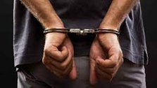 Despite decline in number of cases, arrests increased