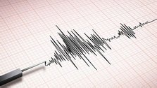 Mild tremor jolts country