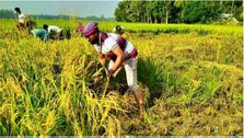 1 crore 9 lakh farmers will get smart agriculture card