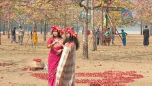 Tourists on the shores of Jadukata to see the red Shimul flowers