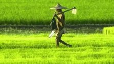 Rs 250 cr agri fund launched in Assam to boost agribusiness
