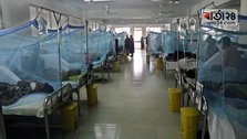 Record 2293 dengue patients in hospital, 9 deaths