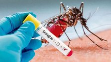 Highest number of deaths from dengue, 3015 hospitalized