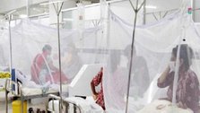 Eight people die from dengue, 2889 in hospitals