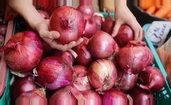 India has given permission to export 50 thousand tons of onions to Bangladesh