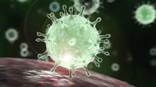 Deadly virus Covid-19 claims 23 thousand lives so far