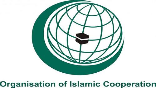 OIC foreign ministers conference begins in Niger