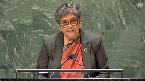 Share the responsibility of Rohingya crises: Ambassador Fatima