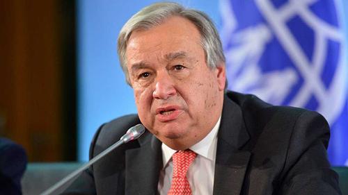 We must make peace with nature: UN chief