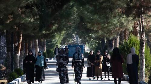 আফগানিস্তানের বিশ্ববিদ্যালয়ে নারীদের নিষিদ্ধ করল তালেবান
